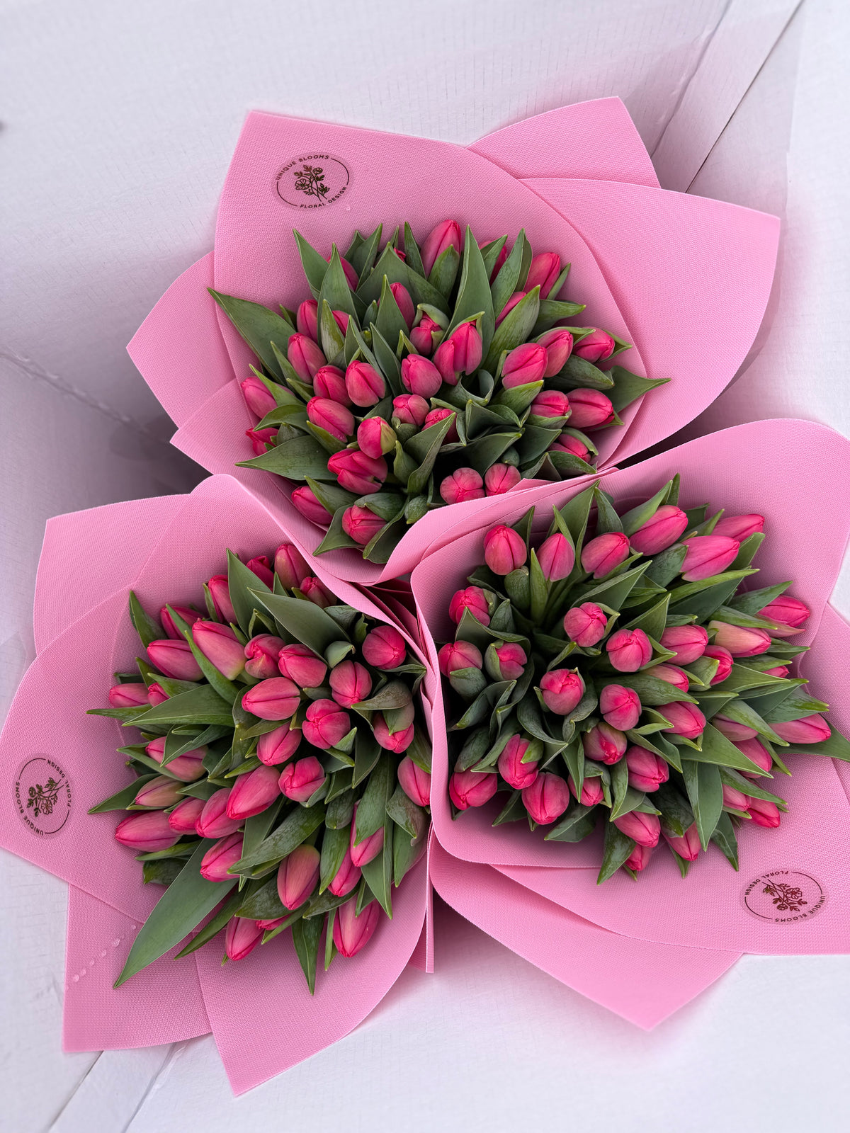 DUTCH TULIPS - Preorder Only