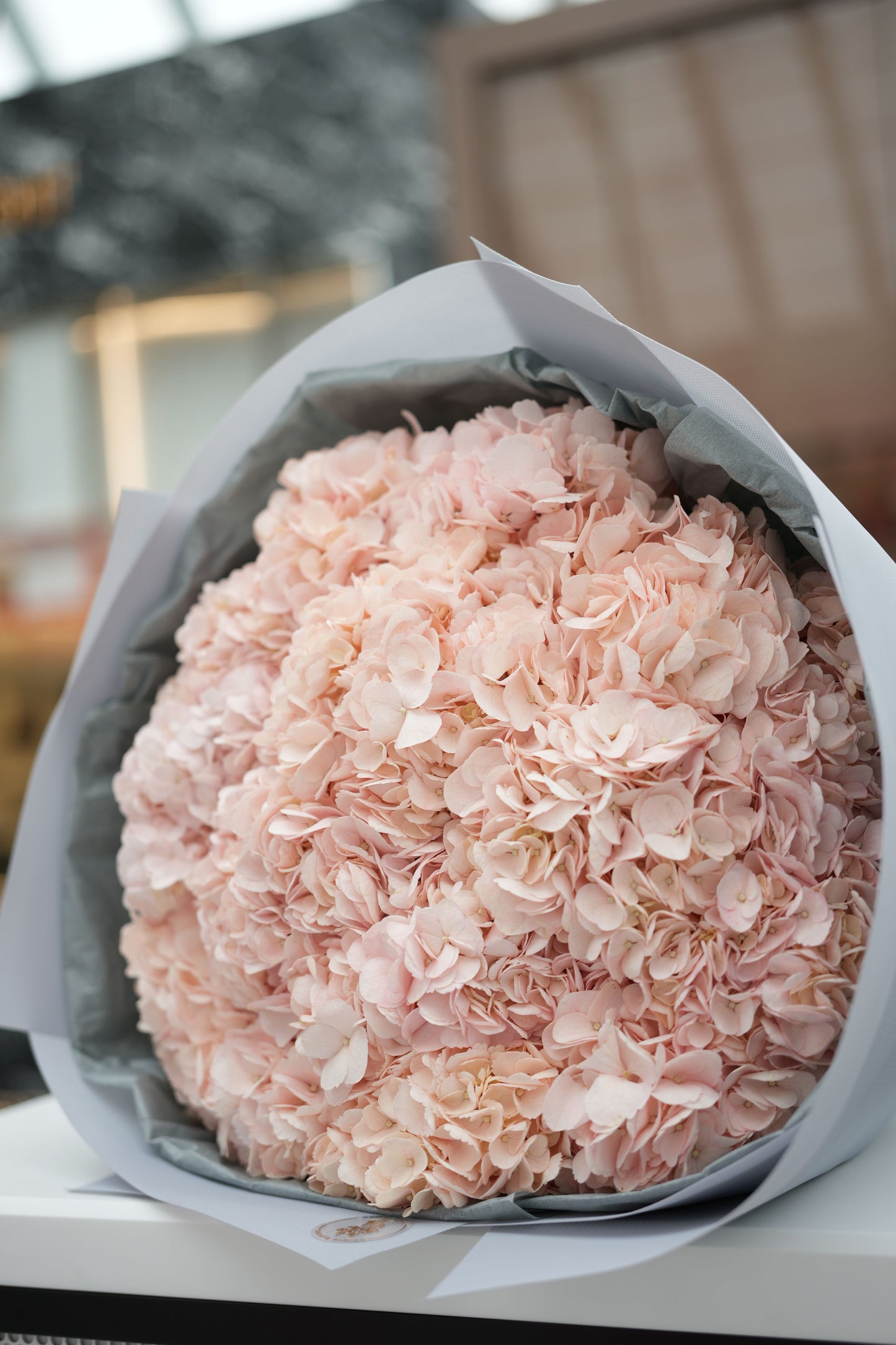 Hydrangea Cloud