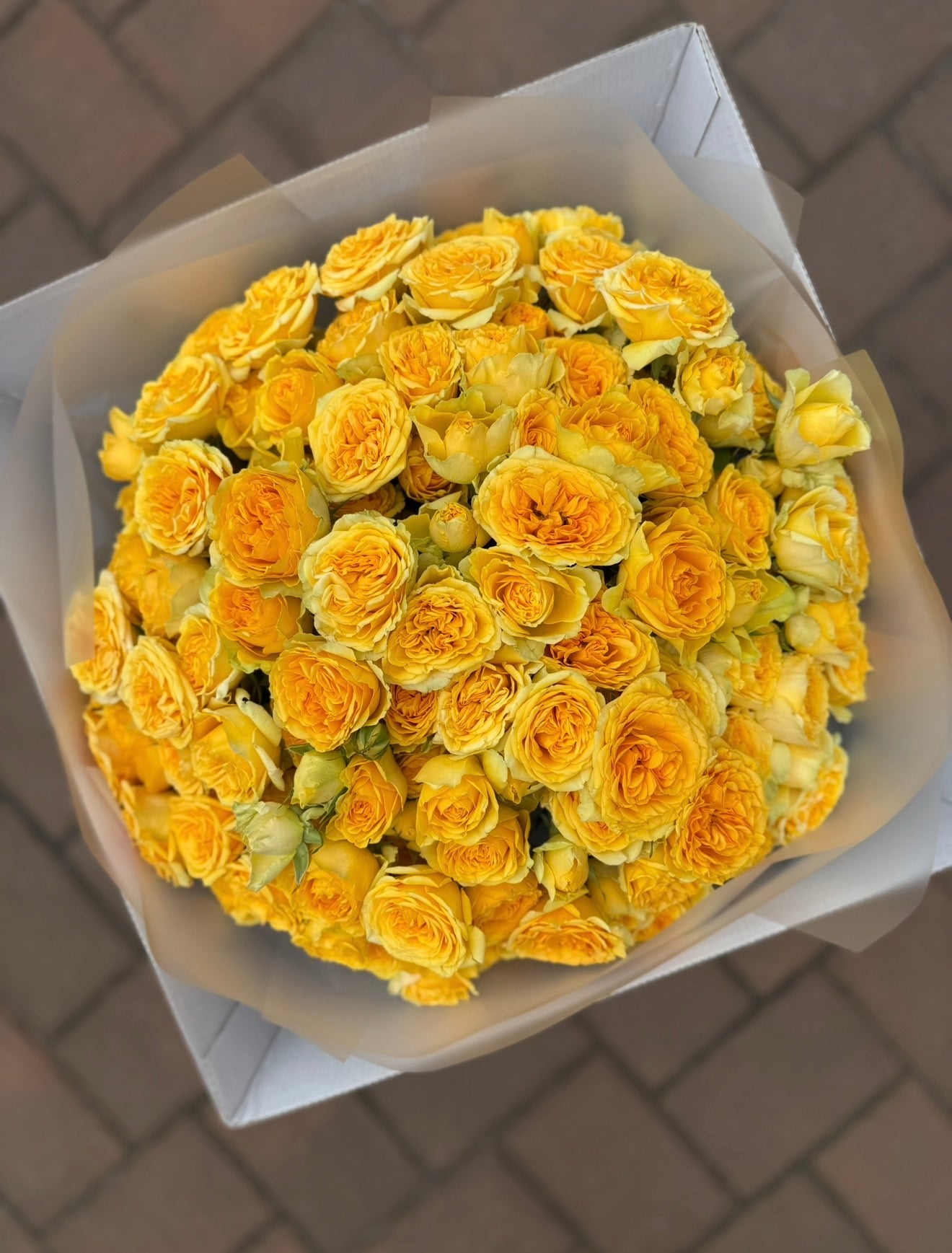 SPRAY ROSES