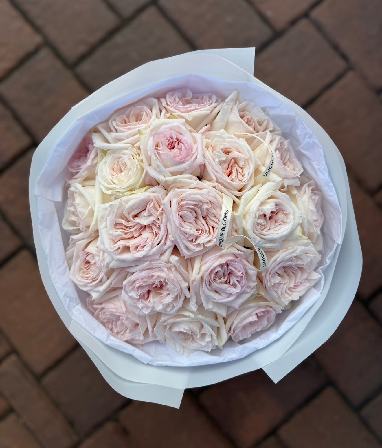 GARDEN ROSES