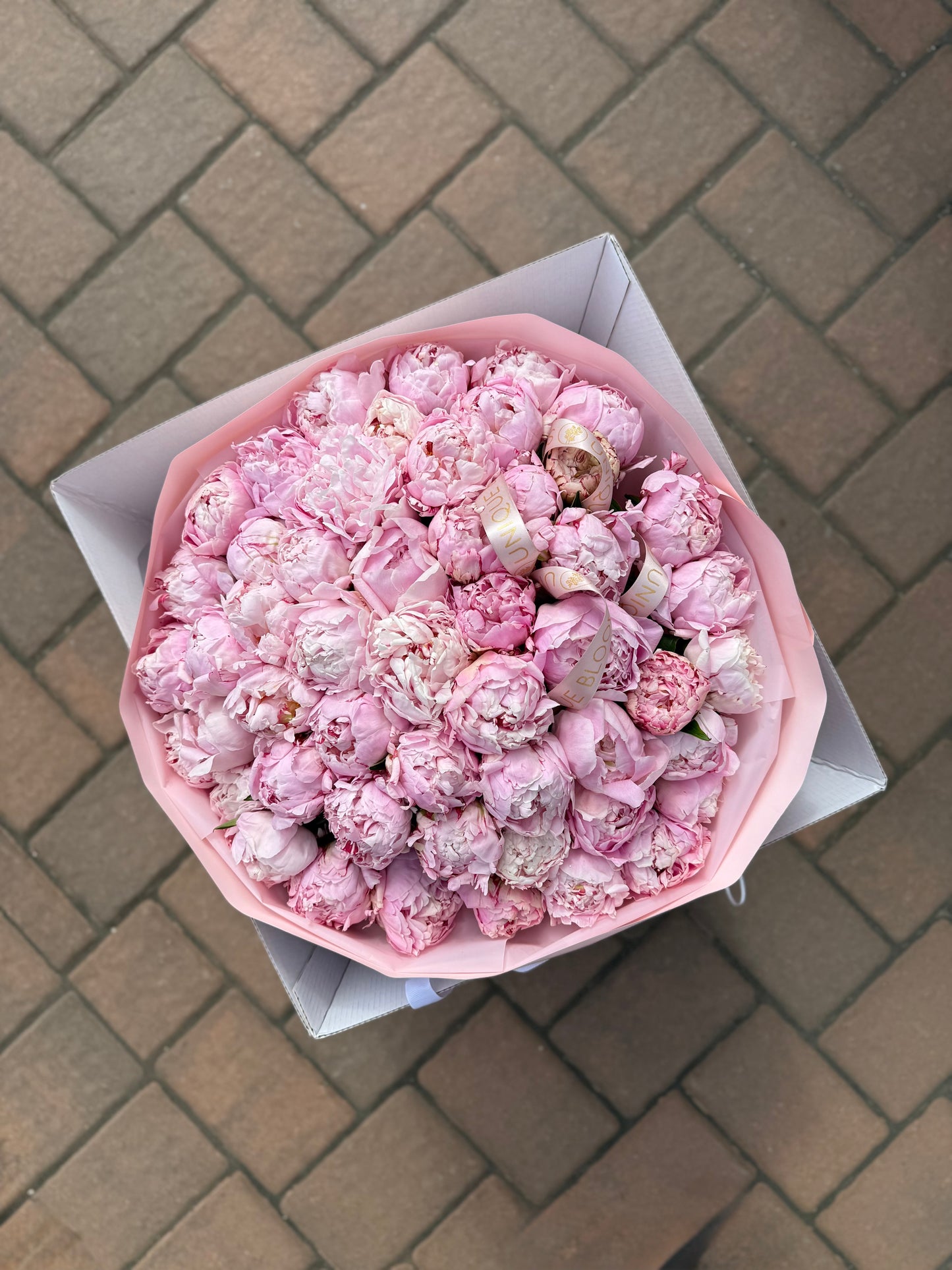PEONIES