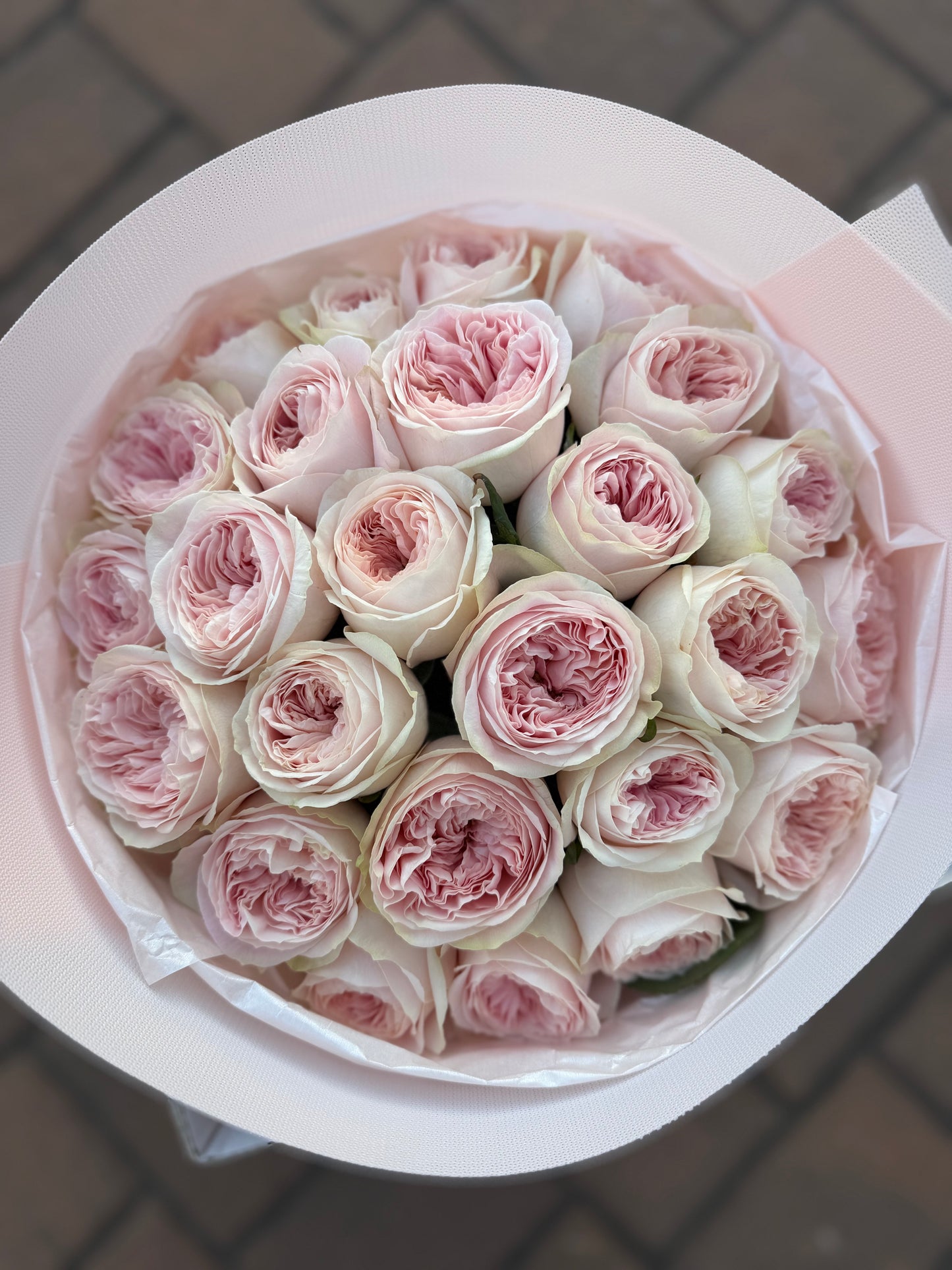 GARDEN ROSES