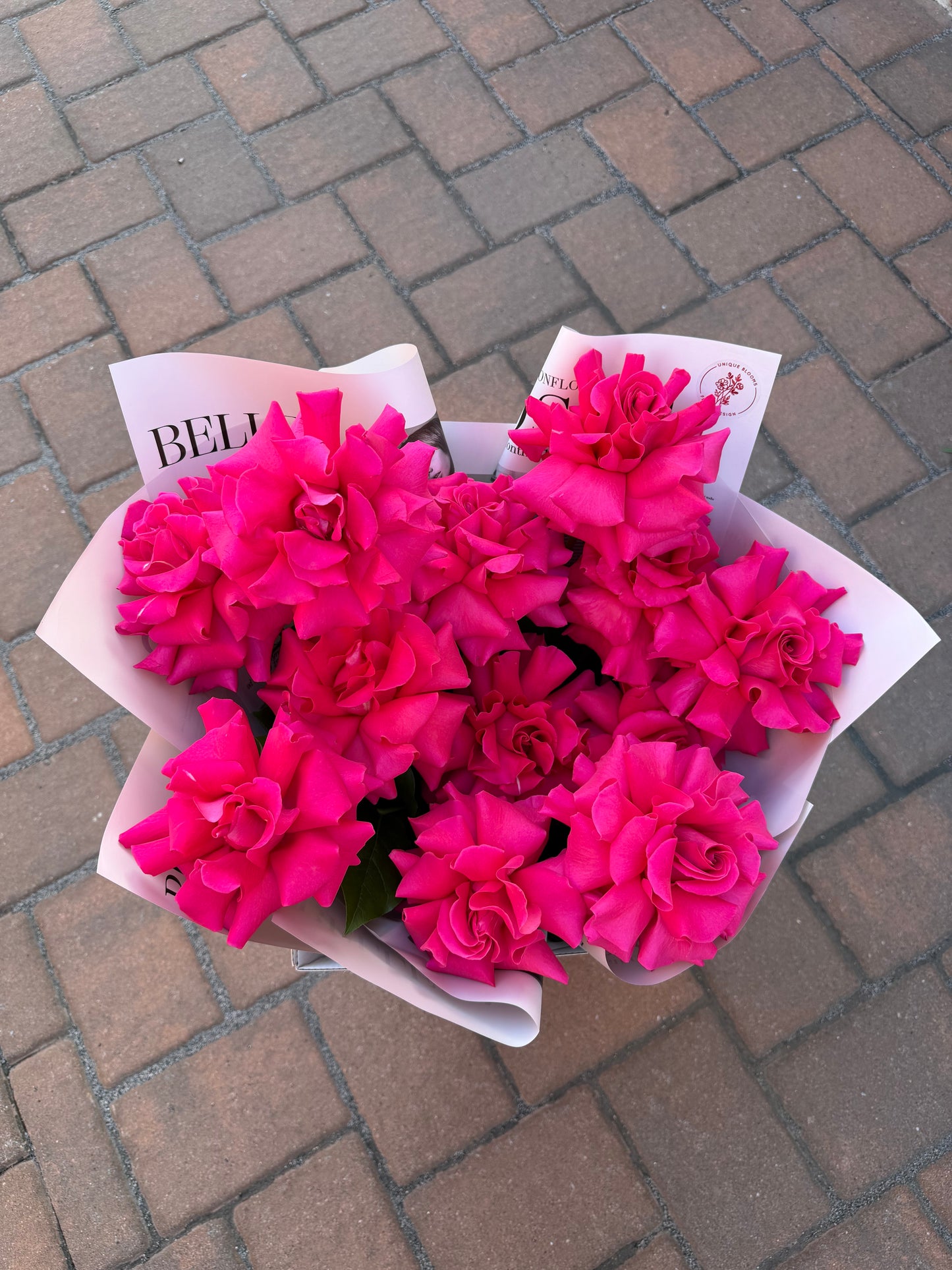 FRENCH ROSES
