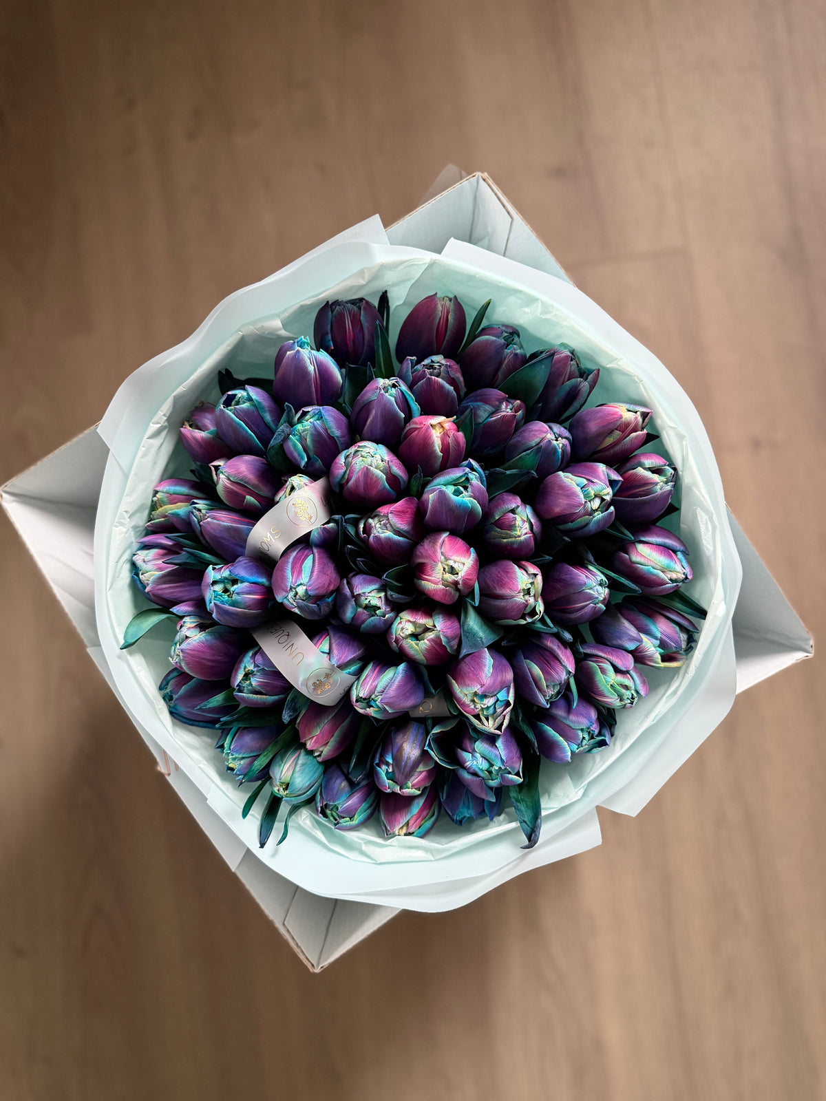 PEONY TULIPS