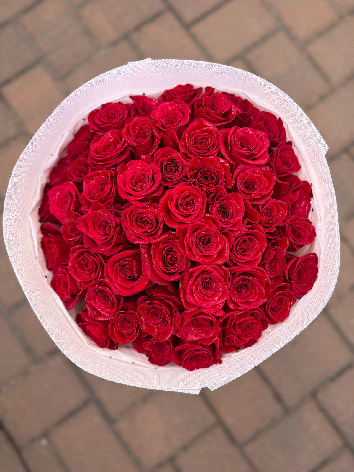 PREMIUM ROSES - ALL COLORS