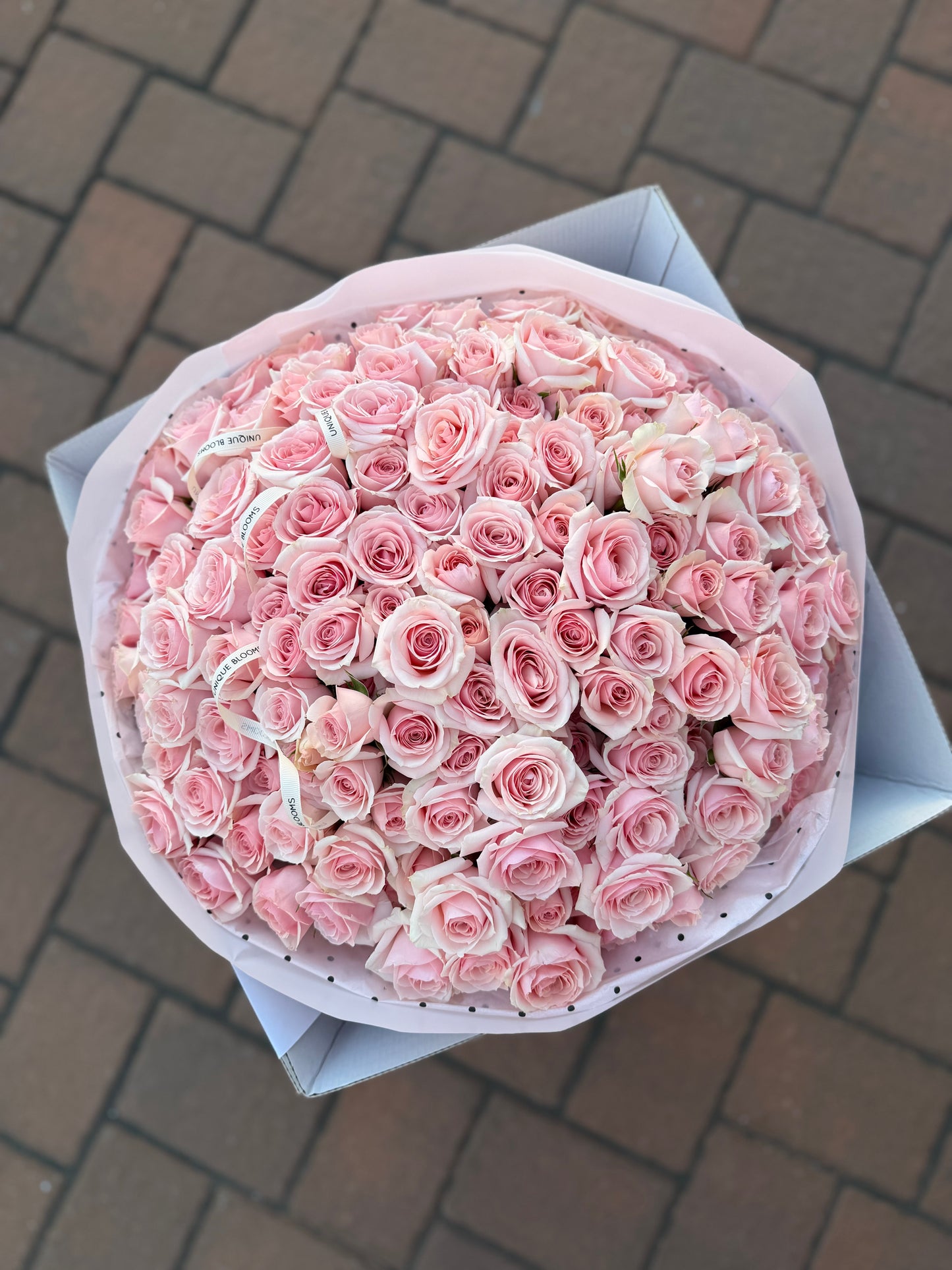 SPRAY ROSES