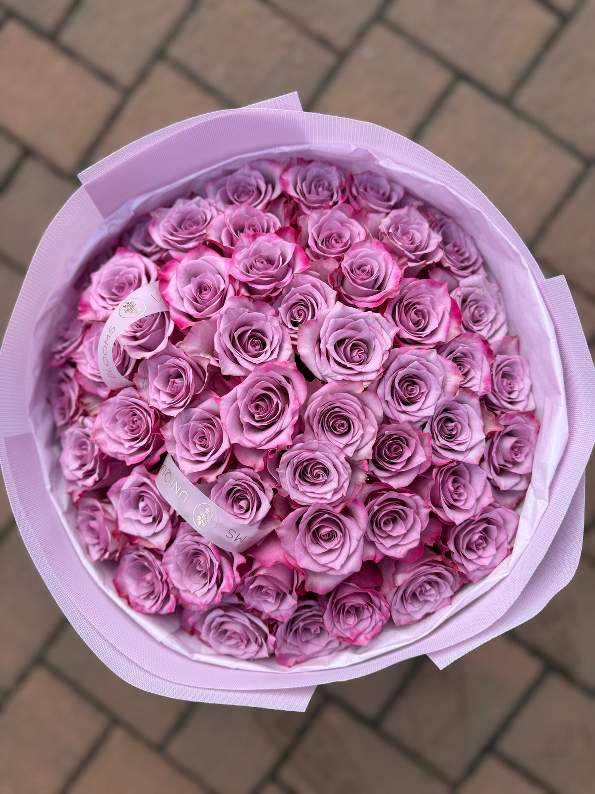 PREMIUM ROSES - ALL COLORS