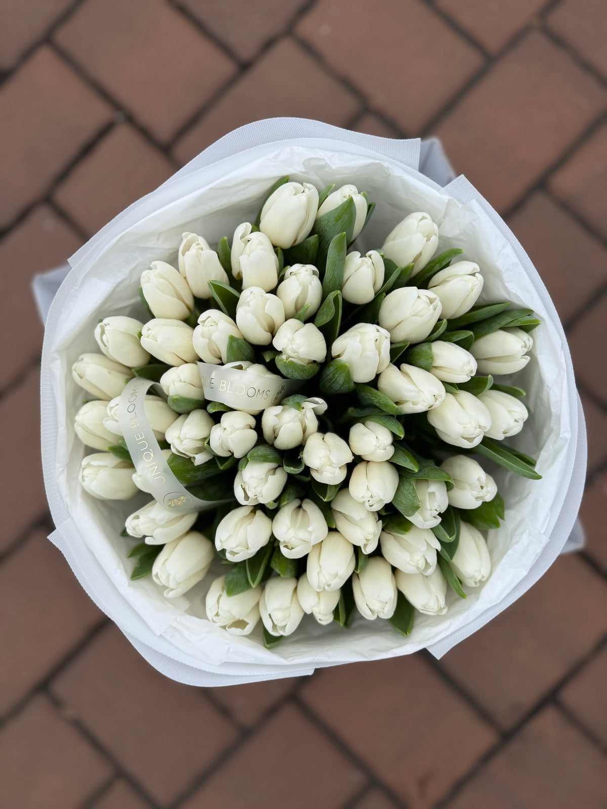 DUTCH TULIPS - Preorder Only