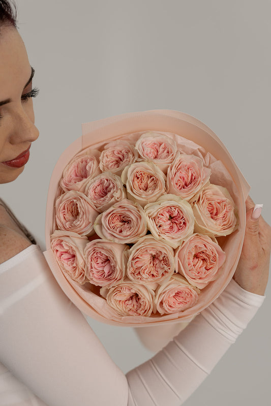 GARDEN ROSES BALLERINA