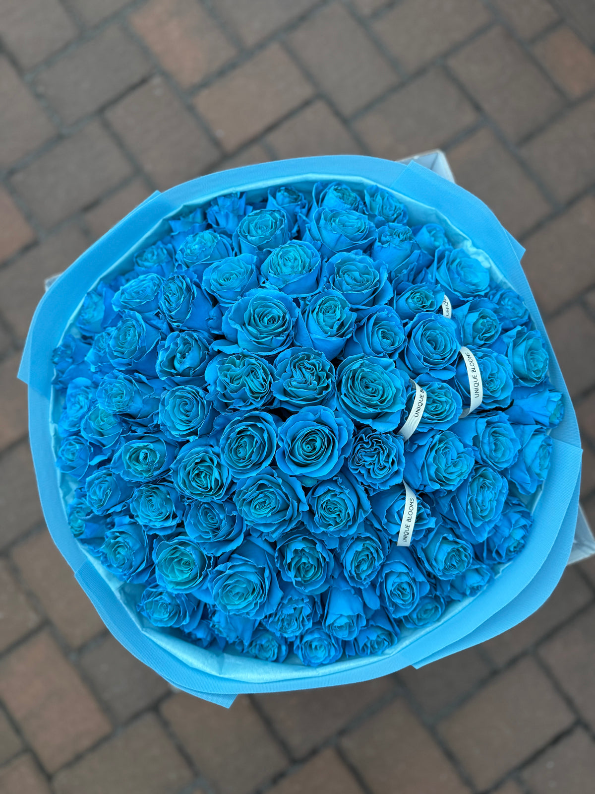 PREMIUM ROSES - ALL COLORS