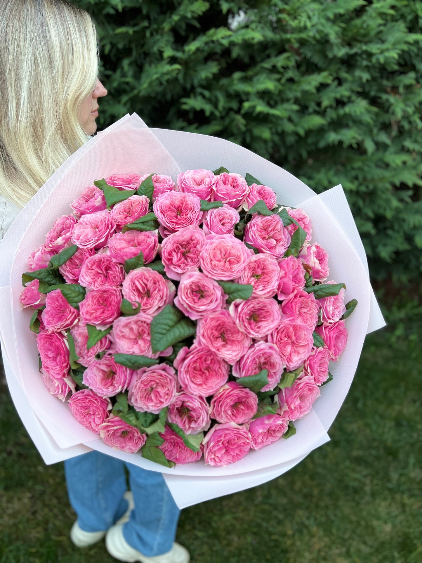 GARDEN ROSES