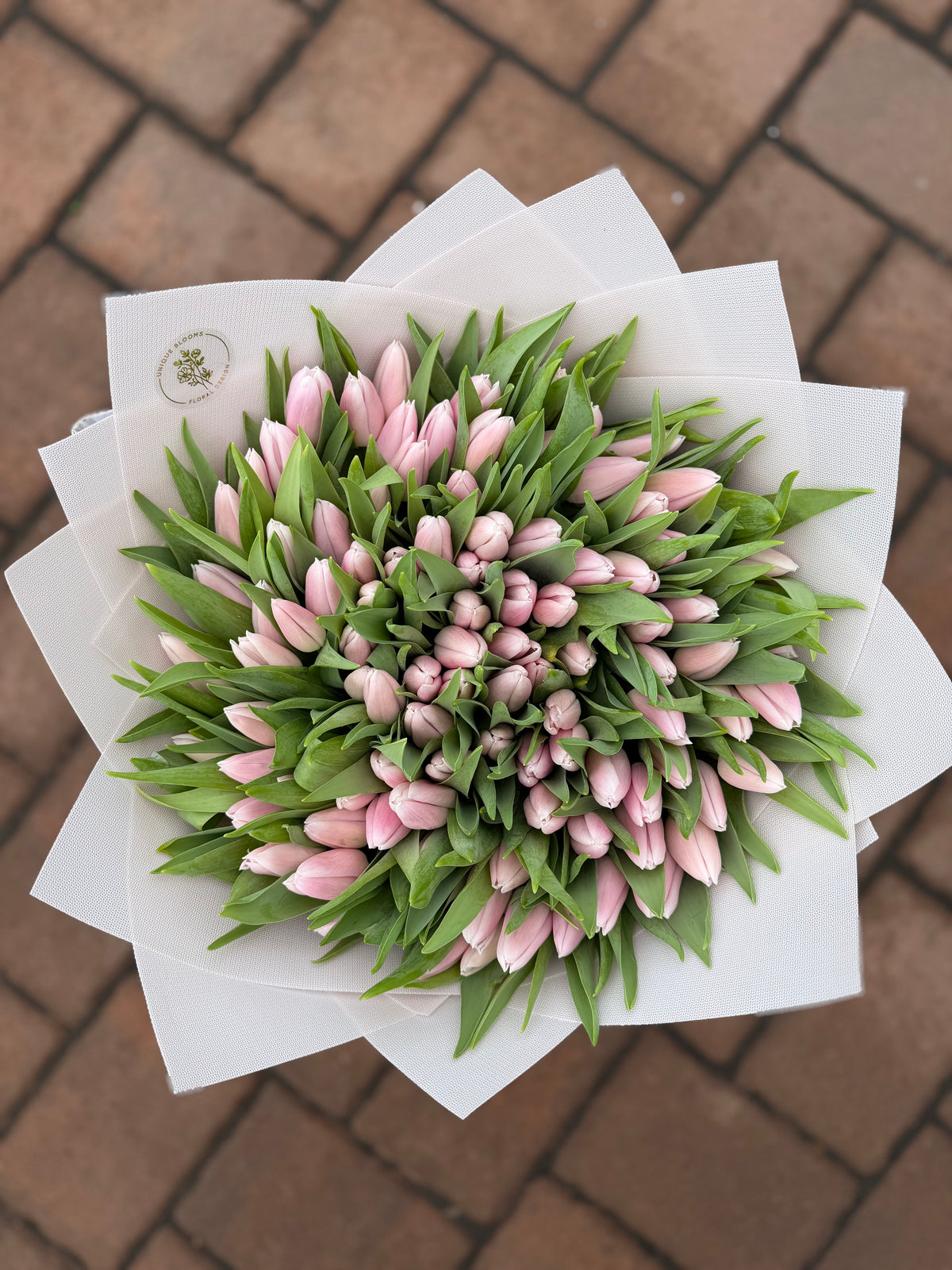 DUTCH TULIPS - Preorder Only