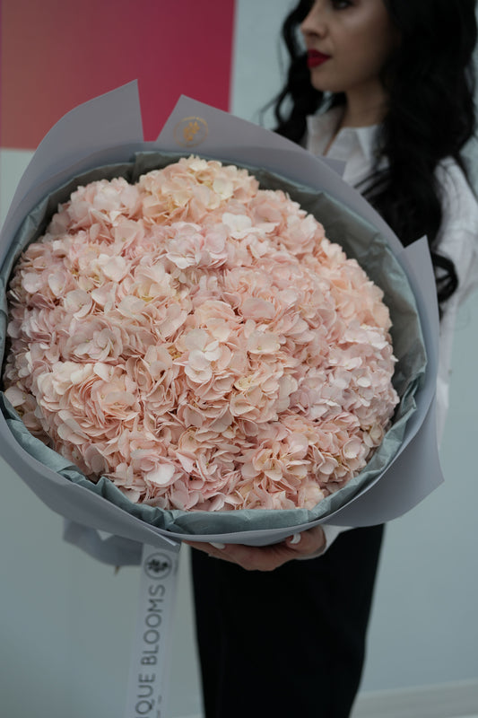 Hydrangea Cloud