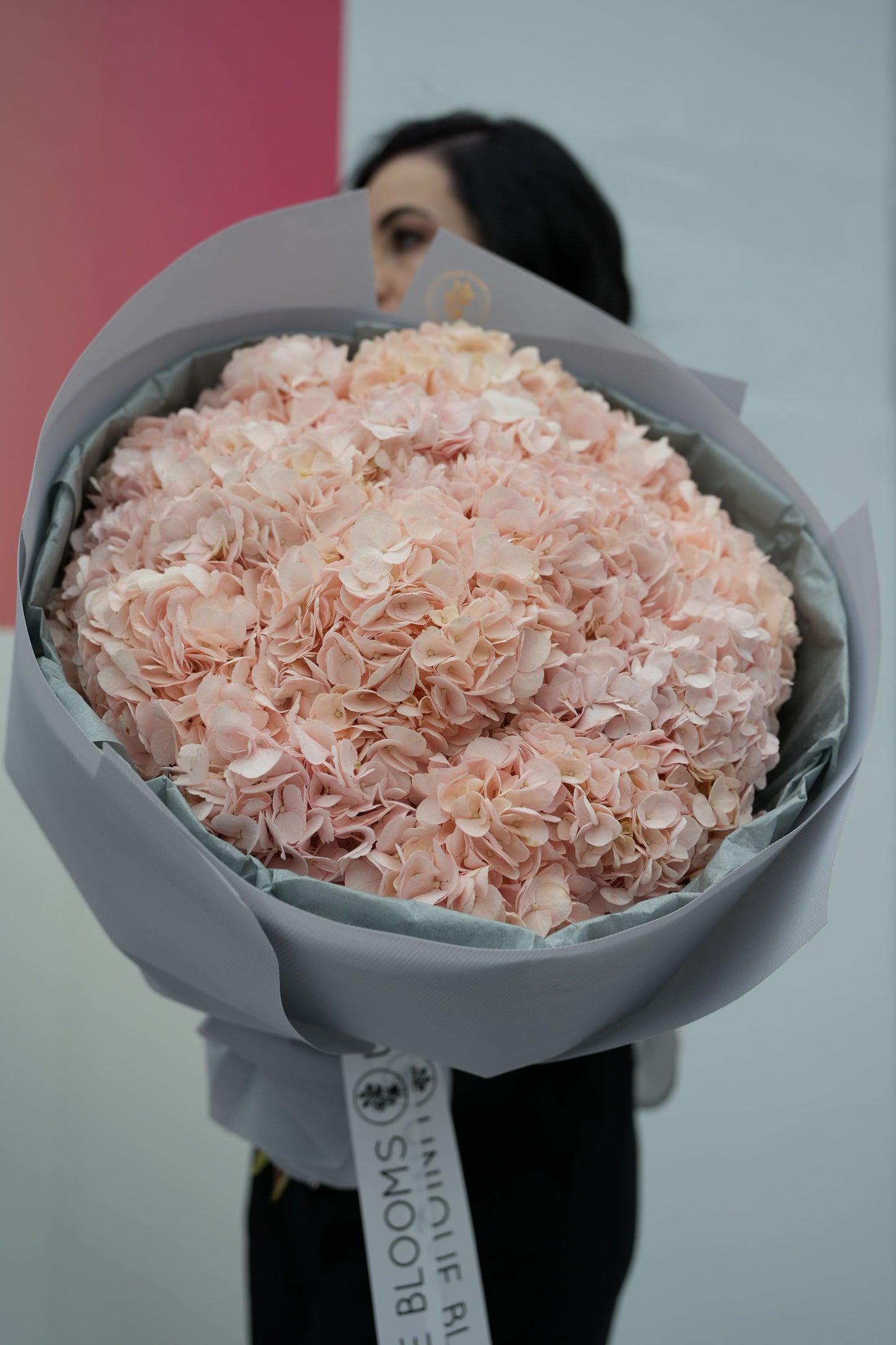 Hydrangea Cloud