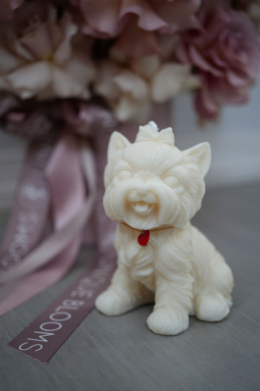 Candle | Pup