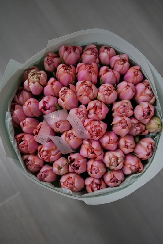 Peony Tulips