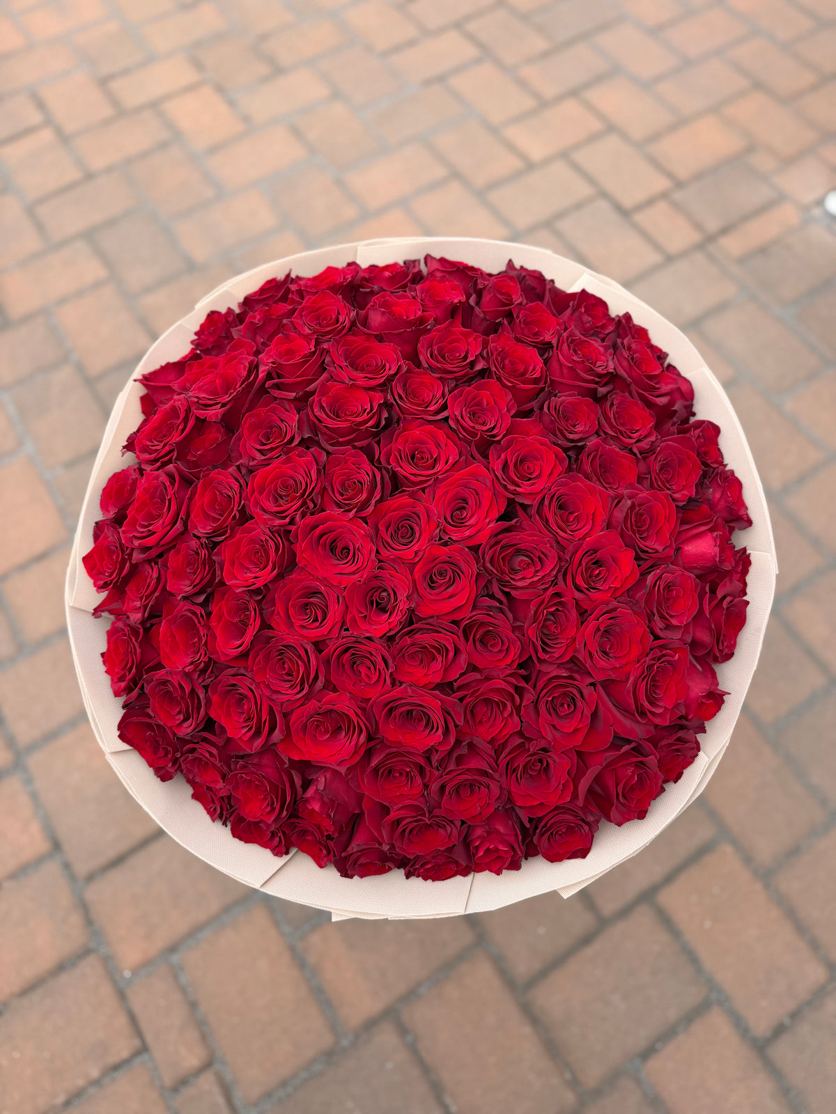 PREMIUM ROSES - ALL COLORS