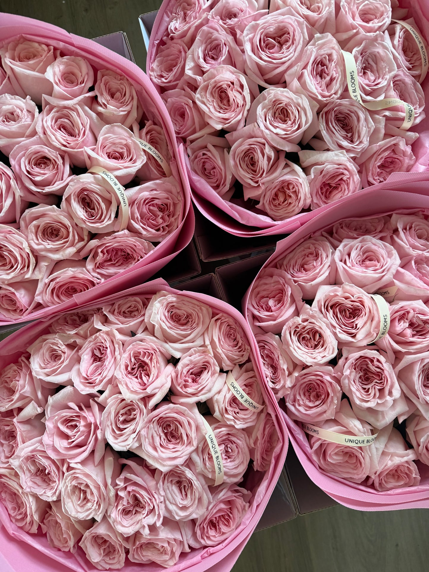 GARDEN ROSES