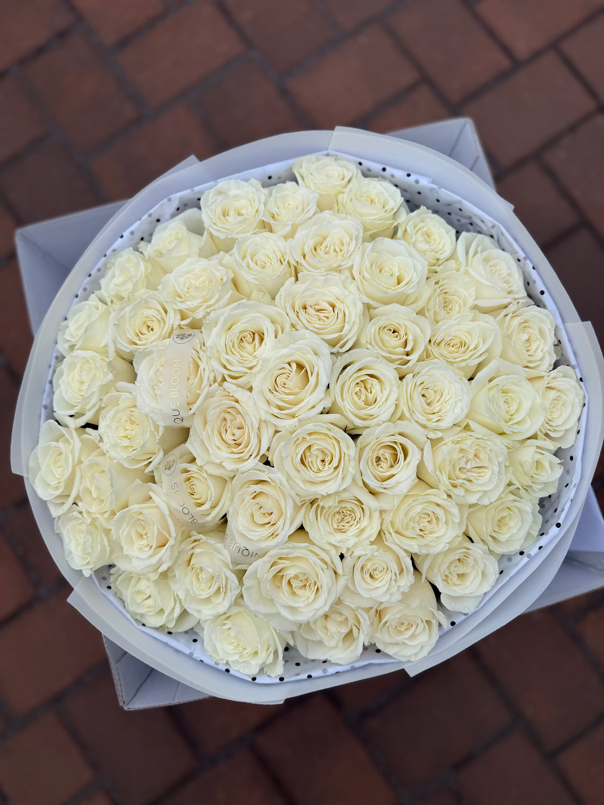 PREMIUM ROSES - ALL COLORS