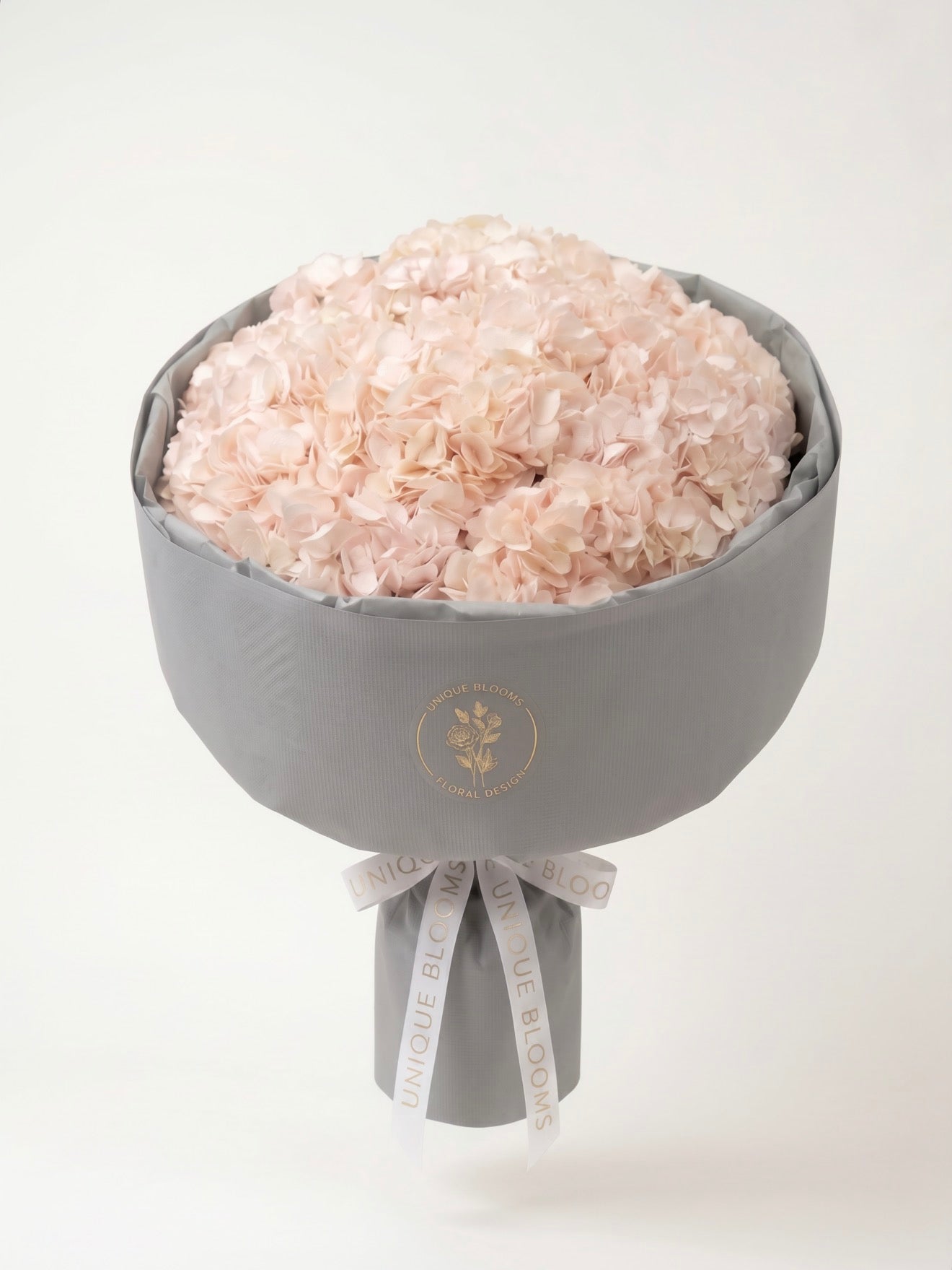 HYDRANGEA CLOUD - REGULAR