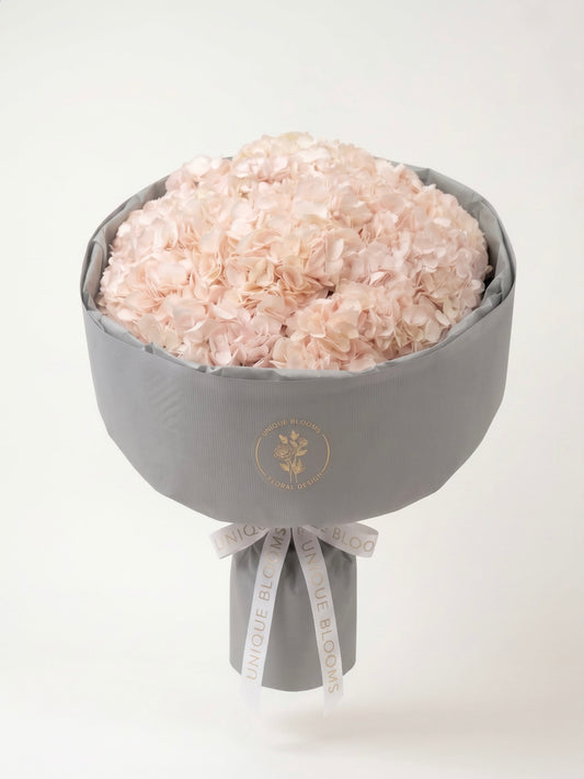 HYDRANGEA CLOUD - REGULAR