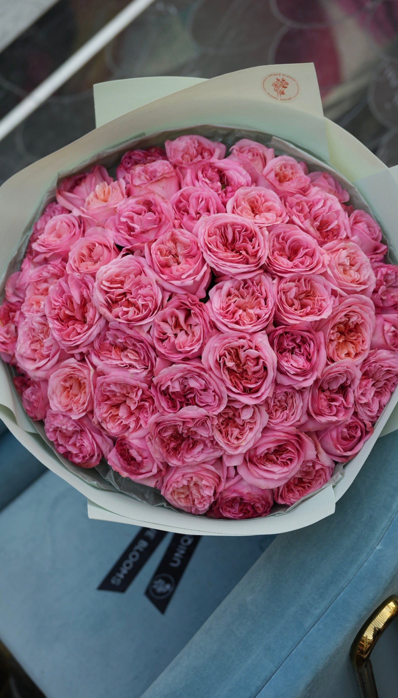 GARDEN ROSES