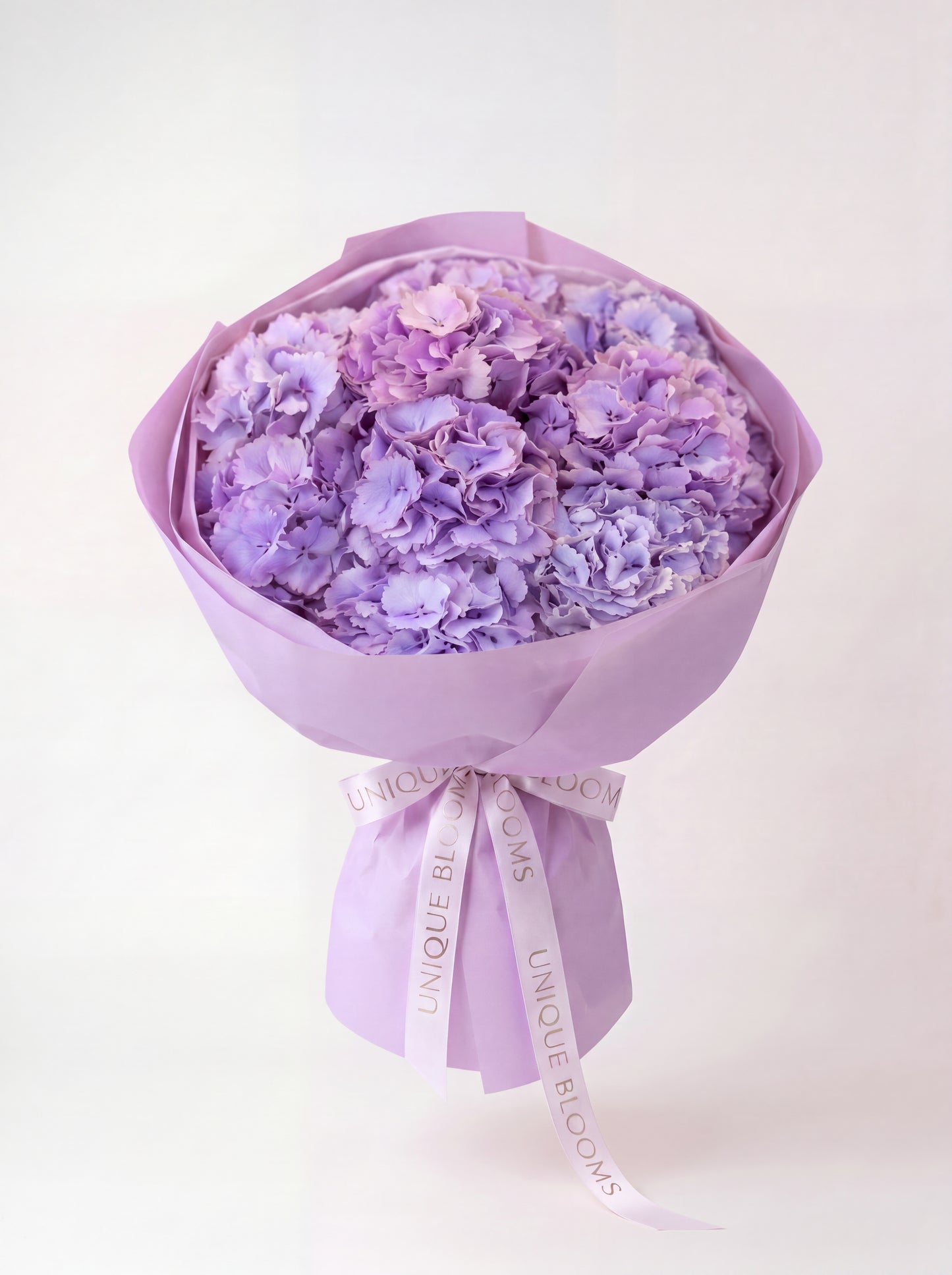 DUTCH HYDRANGEA CLOUD