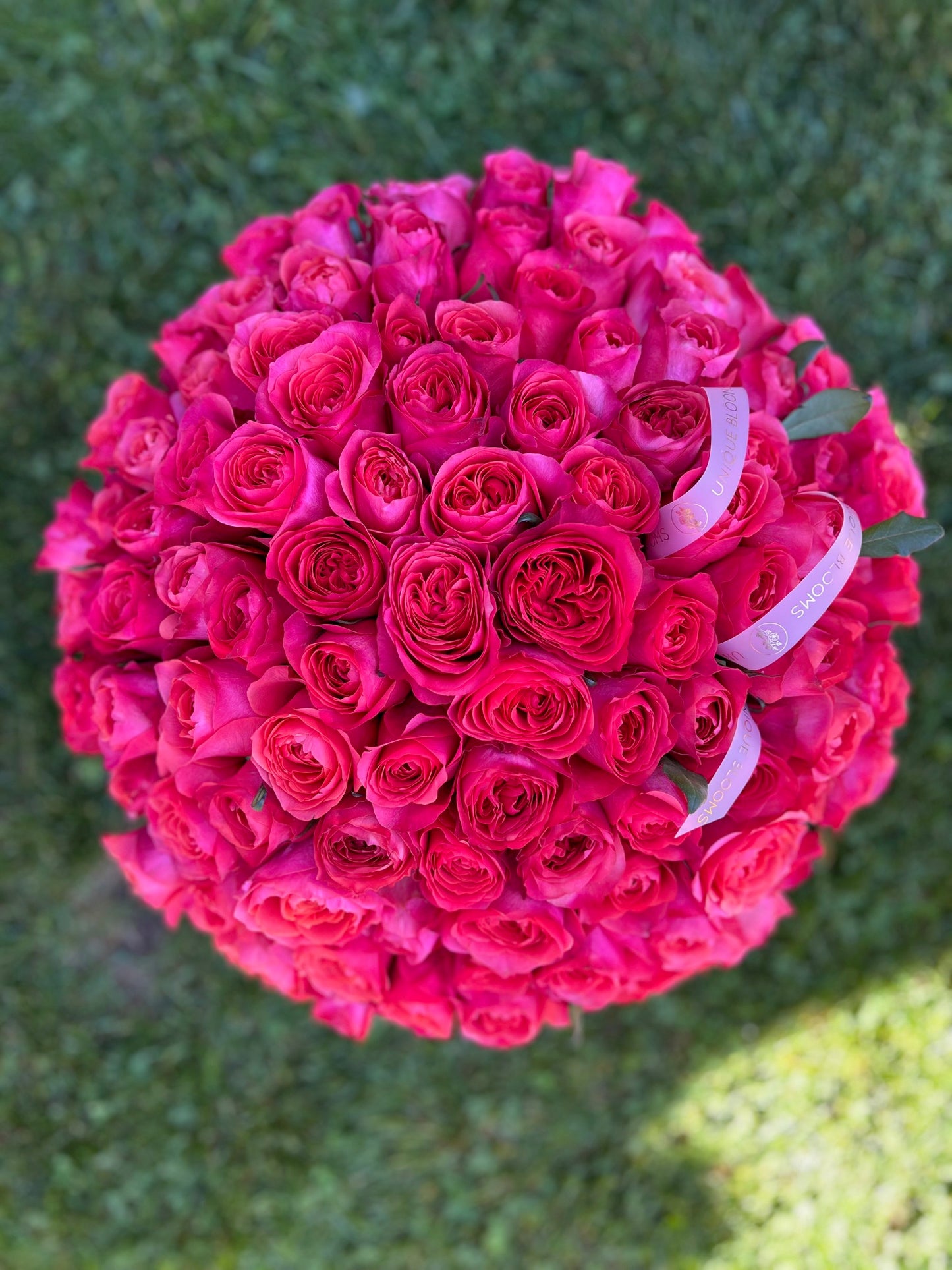 GARDEN ROSES DARK EXPRESSION