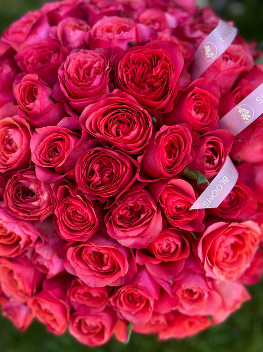 GARDEN ROSES DARK EXPRESSION