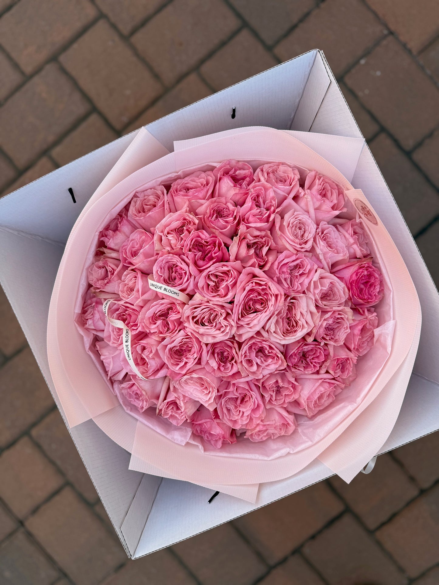 GARDEN ROSES PINK O'HARA