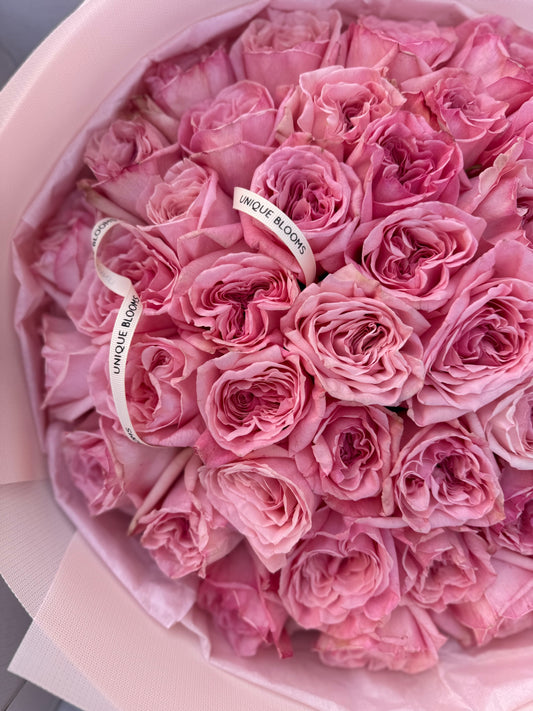 GARDEN ROSES PINK O'HARA