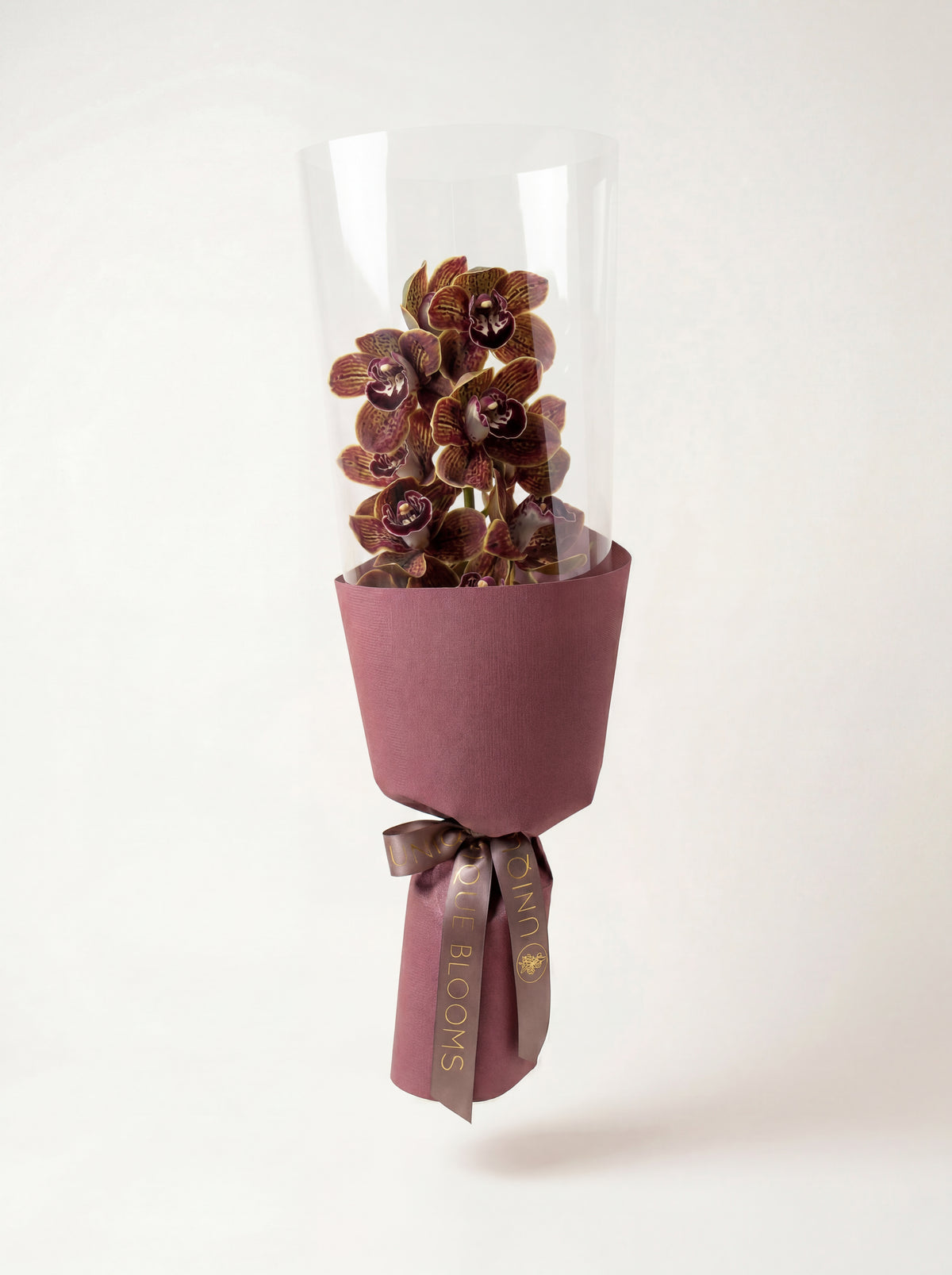 CYMBIDIUM ORCHID