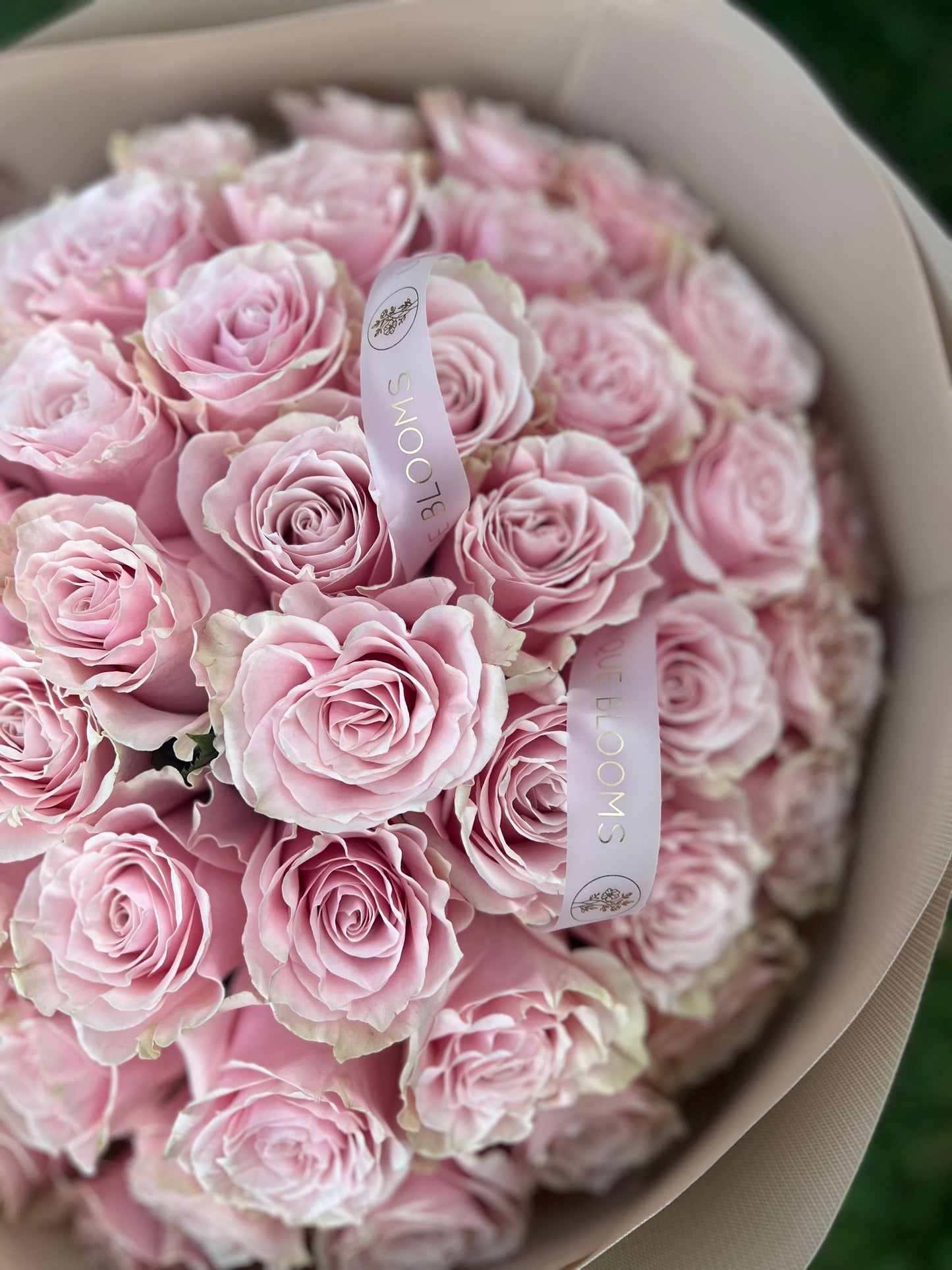 PREMIUM PINK ROSES