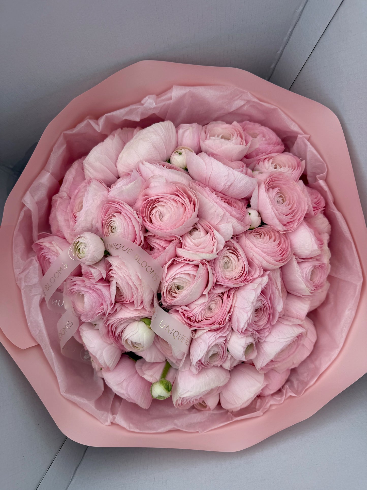 ITALIAN RANUNCULUS CLONI