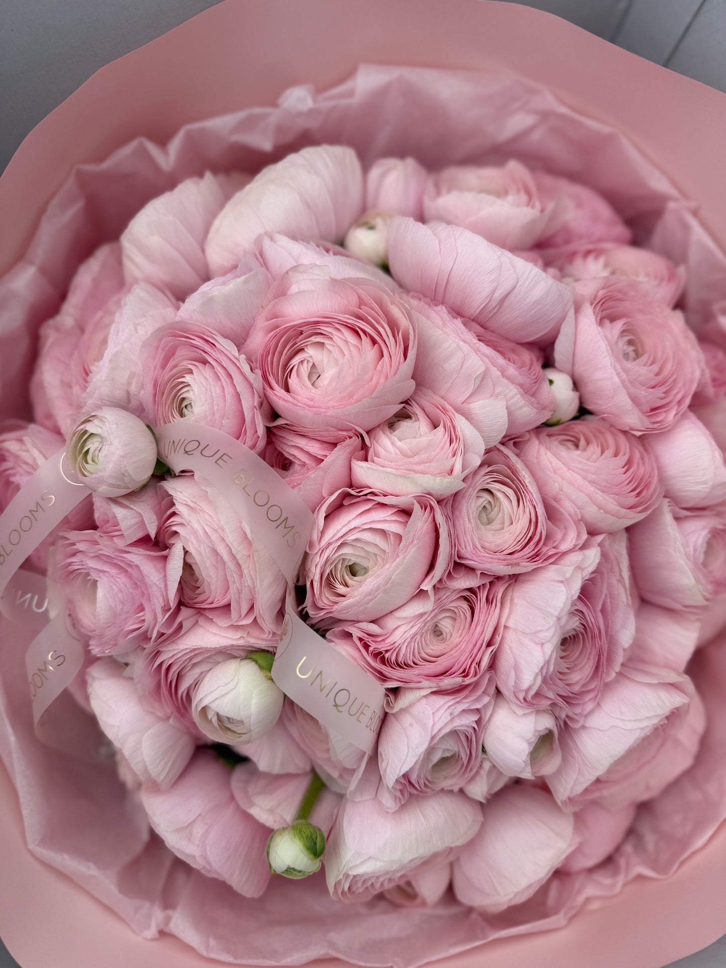 ITALIAN RANUNCULUS CLONI