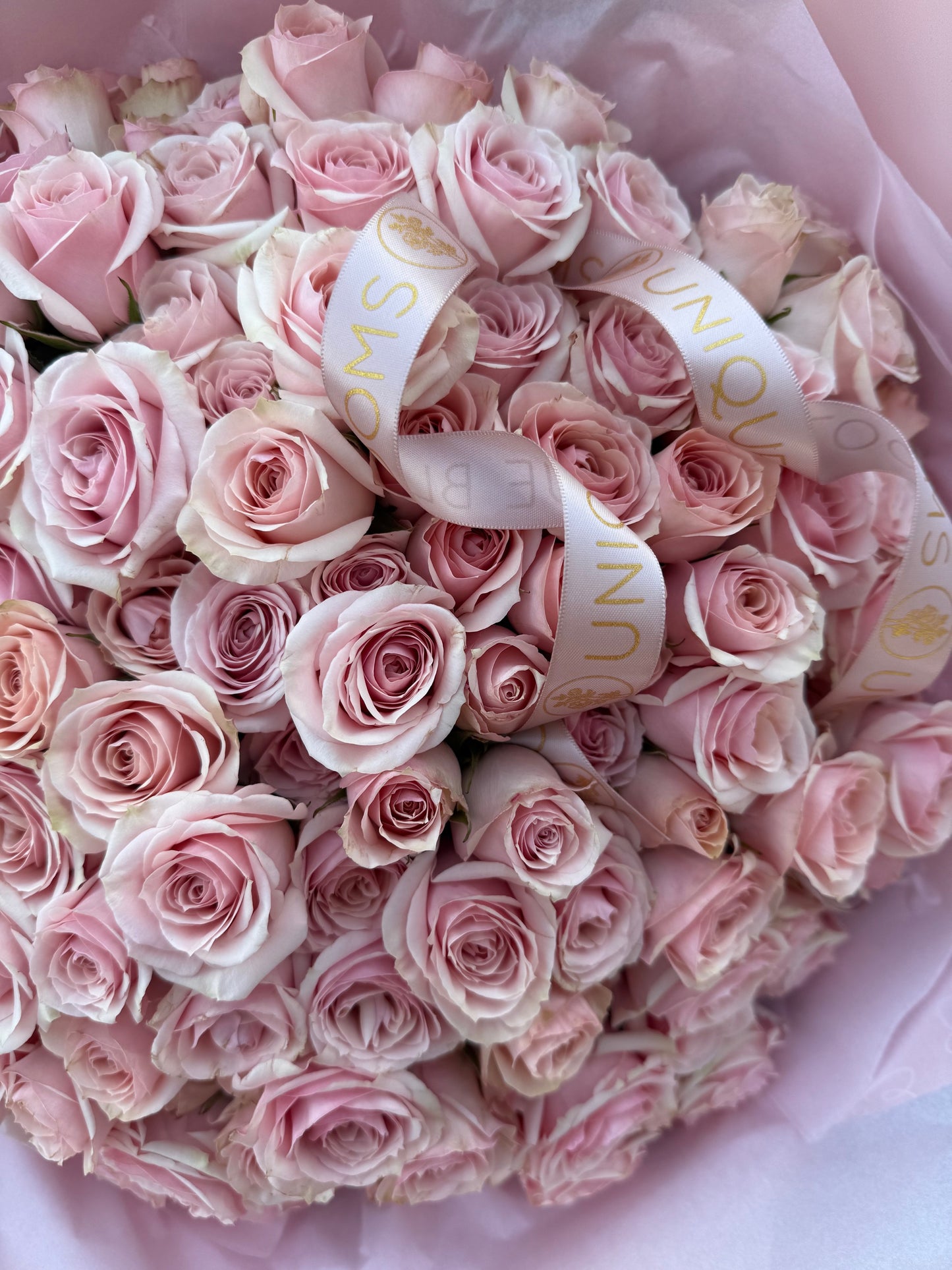 BLUSH SPRAY ROSES