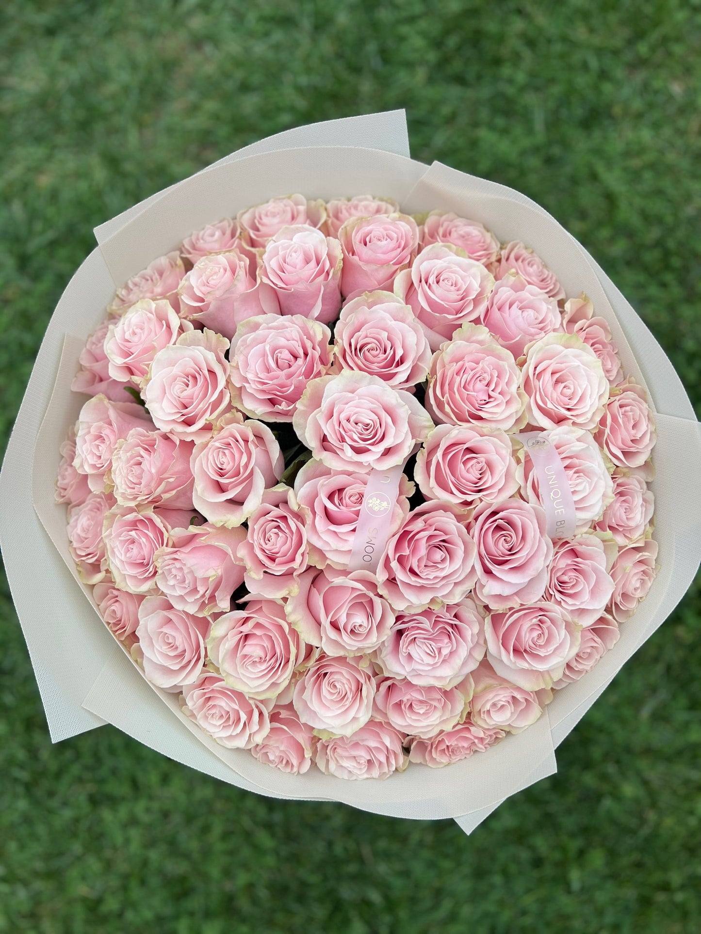 PREMIUM PINK ROSES