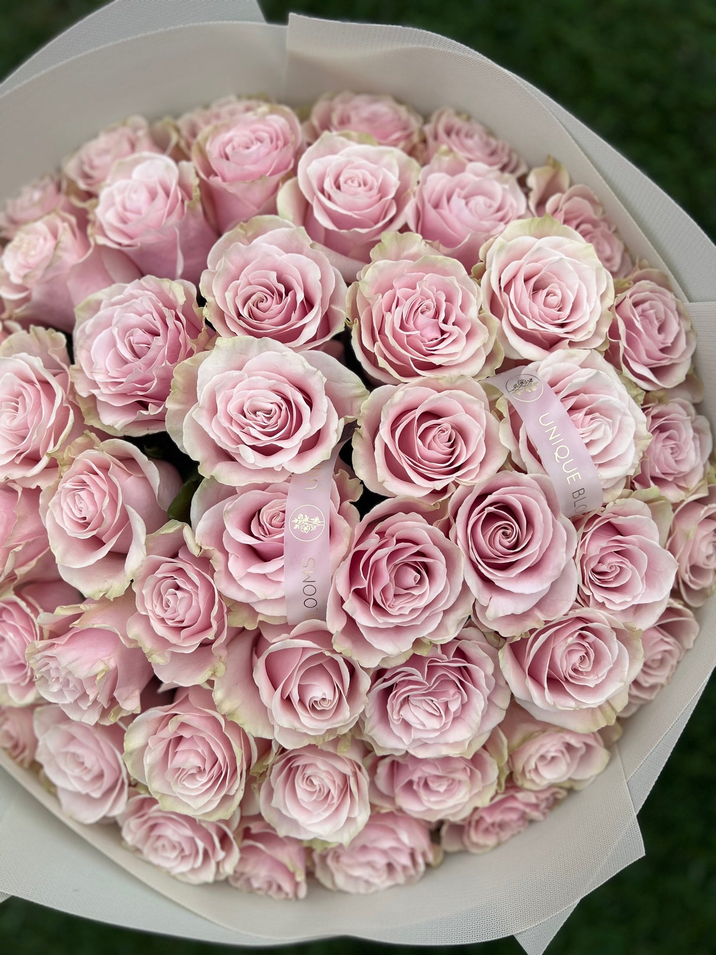 PREMIUM PINK ROSES