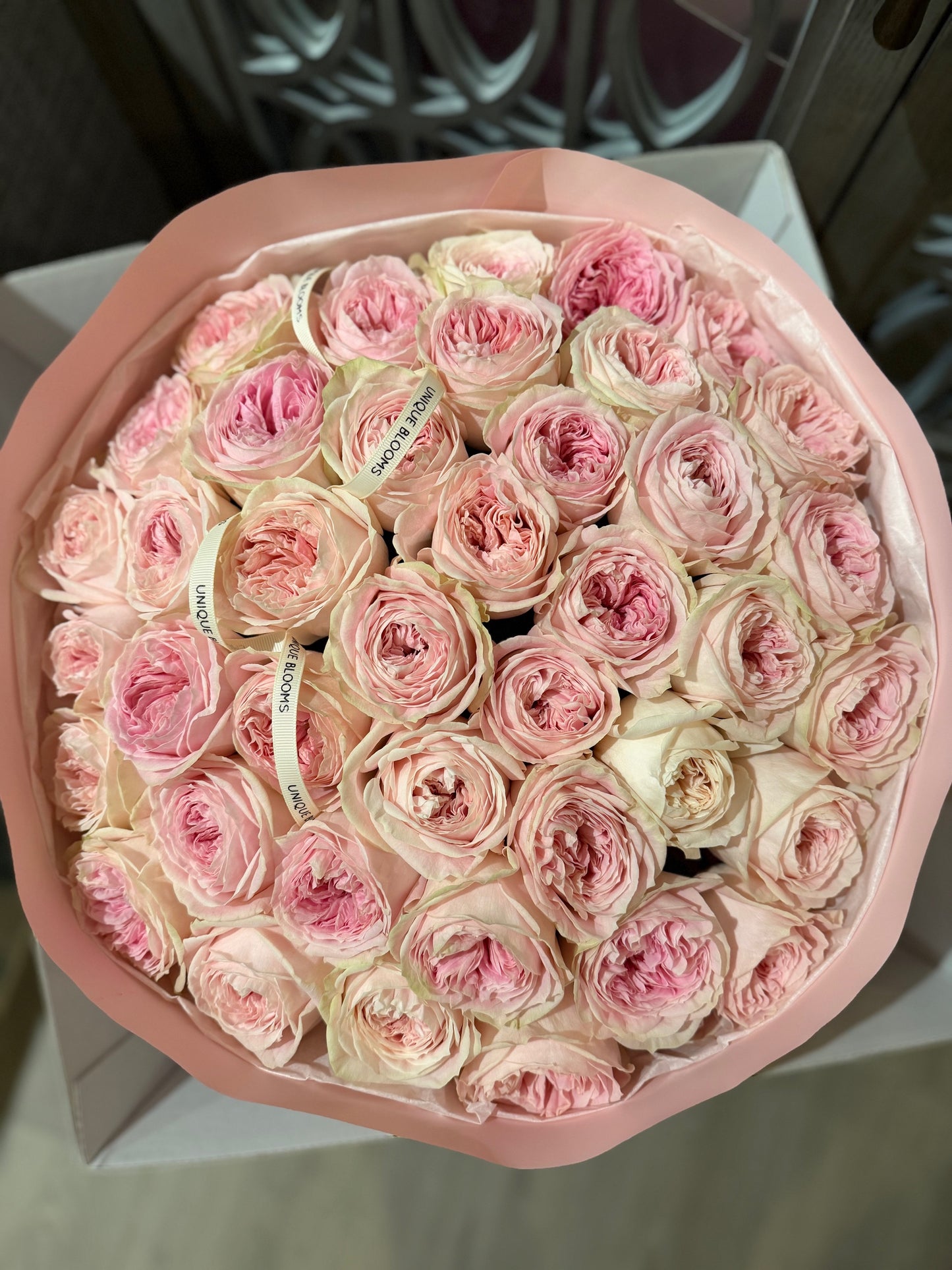 GARDEN ROSES BALLERINA