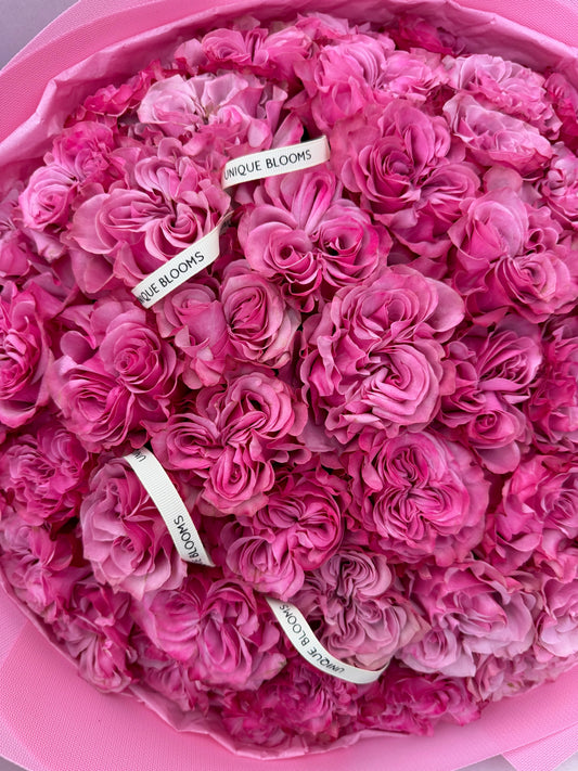 GARDEN ROSES COUNTRY BLUES