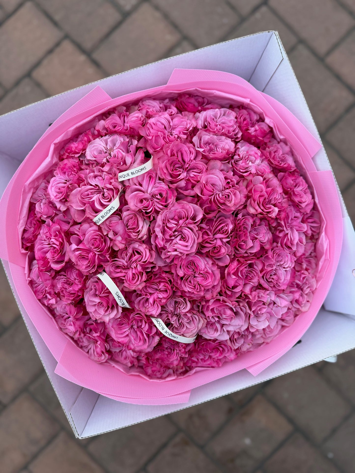 GARDEN ROSES COUNTRY BLUES