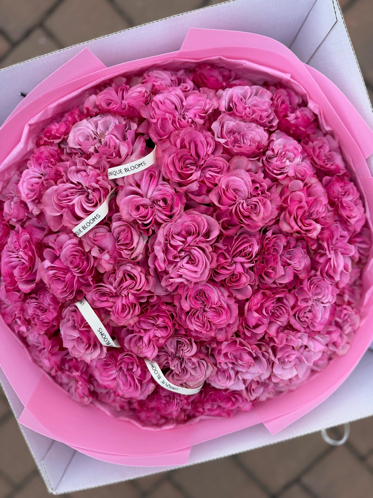 GARDEN ROSES COUNTRY BLUES